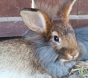 Basų kojų takas &scaron;alia Kadagių slėnio