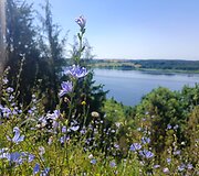 Kadagių slėnio pažintinis takas