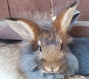 Basų kojų takas &scaron;alia Kadagių slėnio