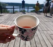 Kadagių slėnio pažintinis takas