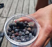 Kadagių slėnio pažintinis takas