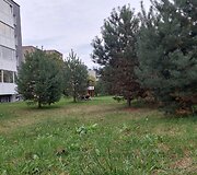 Mažosios gatvės Raudondvaryje žalioji zona, kur žadama nutiesti kelią