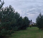 Mažosios gatvės Raudondvaryje žalioji zona, kur žadama nutiesti kelią