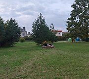 Mažosios gatvės Raudondvaryje žalioji zona, kur žadama nutiesti kelią
