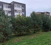 Mažosios gatvės Raudondvaryje žalioji zona, kur žadama nutiesti kelią