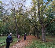 &Scaron;ateikiai - miestelis, kuriame gimė biopsijos pradininkas ir tuokėsi Čiurlioniai