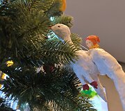 Bir&scaron;tonietės Virginijos Jurgelionienės kūryba