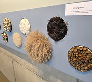 Anyk&scaron;čiuose jauna pora nusprendė atidaryti Jausmų muziejų