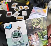 Anyk&scaron;čiuose jauna pora nusprendė atidaryti Jausmų muziejų