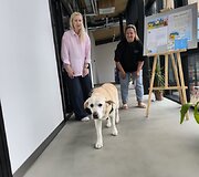 Palangos jaunimo ir savanorystės centras