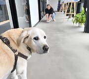 Palangos jaunimo ir savanorystės centras