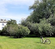 Palangos jaunimo ir savanorystės centras