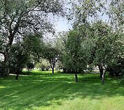 Palangos jaunimo ir savanorystės centras