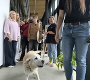 Palangos jaunimo ir savanorystės centras