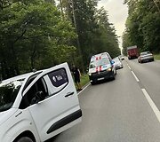 Kauno rajone paramedikai ir policija gelbėjo keliu įėjusį arklį