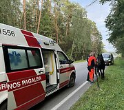Kauno rajone paramedikai ir policija gelbėjo keliu įėjusį arklį