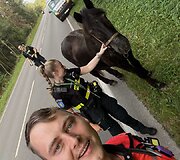 Kauno rajone paramedikai ir policija gelbėjo keliu įėjusį arklį