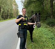 Kauno rajone paramedikai ir policija gelbėjo keliu įėjusį arklį
