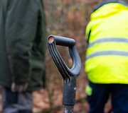 Ąžuoliukų sodinimas Ąžuolyno parke Kaune