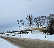 Kaunietis sunerimo dėl statybvietėje masi&scaron;kai pjaunamų medžių
