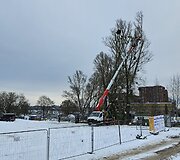Kaunietis sunerimo dėl statybvietėje masi&scaron;kai pjaunamų medžių