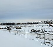 Kaunietis sunerimo dėl statybvietėje masi&scaron;kai pjaunamų medžių