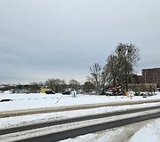 Kaunietis sunerimo dėl statybvietėje masi&scaron;kai pjaunamų medžių