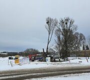 Kaunietis sunerimo dėl statybvietėje masi&scaron;kai pjaunamų medžių