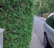 Kauniečio užfiksuoti galimi pažeidimai Žaliakalnyje