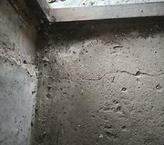 Vieną Kauno daugiabutį užpuolė straubliukai &ndash; priežastis nustebino visus