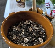 Piligrimų pamėgta sodyba &bdquo;Molinė saulėgrąža&ldquo;