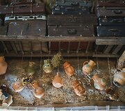 Piligrimų pamėgta sodyba &bdquo;Molinė saulėgrąža&ldquo;