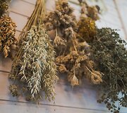 Juodkaimių kaime įsikūrusiuose &bdquo;Žolynų namuose&ldquo; vykdomos edukacijos
