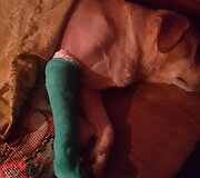 Dr.Leono Kriaučeliūno klinikoje gydytas &scaron;uo Bučkis