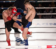 &bdquo;Mustangs fight 4&ldquo;