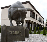 &bdquo;Tauro vartų&ldquo; gyvenamųjų namų kvartalas Kaune