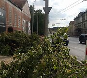 Betvarkė Kauno Bir&scaron;tono gatvėje