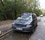 Kaune ant pravažiuojančios ma&scaron;inos užgriuvęs medis sužalojo vairuotoją