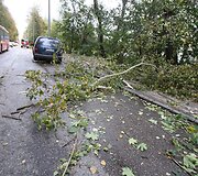 Kaune ant pravažiuojančios ma&scaron;inos užgriuvęs medis sužalojo vairuotoją