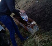 Gyvūnų gelbėtojai susirūpino &Scaron;ilutės rajono laukuose aptiktais galvijais