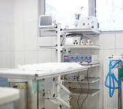 Gyvūnų ir žmonių organizmus gretinantis veterinaras V.Siaurys kuria naują kliniką