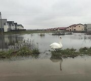 Užlieti sklypai Romainiuose
