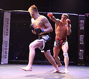 Tarptautinis MMA turnyras Tauragė &bdquo;Taurris Cup 2017&ldquo;