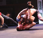 Tarptautinis MMA turnyras Tauragė &bdquo;Taurris Cup 2017&ldquo;