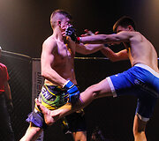Tarptautinis MMA turnyras Tauragė &bdquo;Taurris Cup 2017&ldquo;