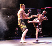 Tarptautinis MMA turnyras Tauragė &bdquo;Taurris Cup 2017&ldquo;
