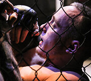 Tarptautinis MMA turnyras Tauragė &bdquo;Taurris Cup 2017&ldquo;