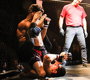 Tarptautinis MMA turnyras Tauragė &bdquo;Taurris Cup 2017&ldquo;