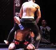 Tarptautinis MMA turnyras Tauragė &bdquo;Taurris Cup 2017&ldquo;