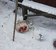 Pasieniečių sugauti brakonieriai spendė spąstus